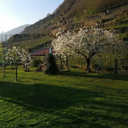 Apartman La Ca Del Cunfec Sondrio