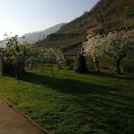 La Ca Del Cunfec