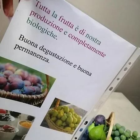 La Ca Del Cunfec *